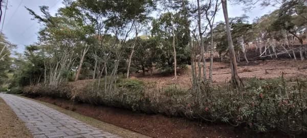 Lote/Terreno em Petrópolis - Itaipava