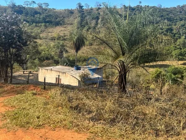 Terreno à Venda – 41.000 m² – Roças Grandes