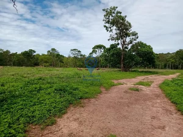 Fazenda a venda em João Pinheiro/MG 🌱🐂
