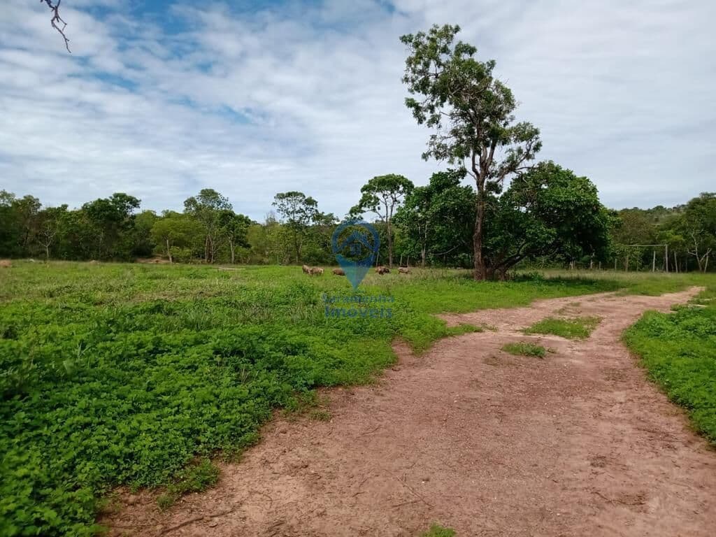 Fazenda a venda em João Pinheiro/MG 🌱🐂