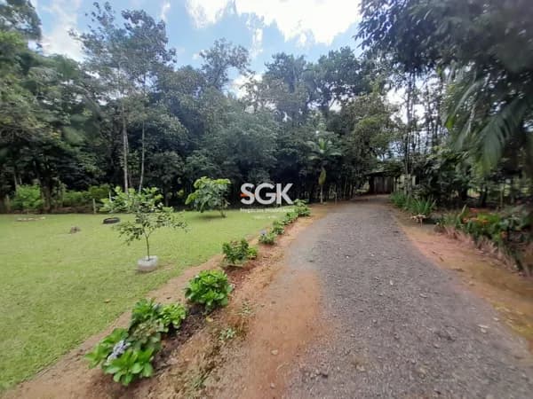 Chácara à Venda no Vila Nova em Joinville/SC – 56 mil m² com Lagoa e Produção de Pupunha