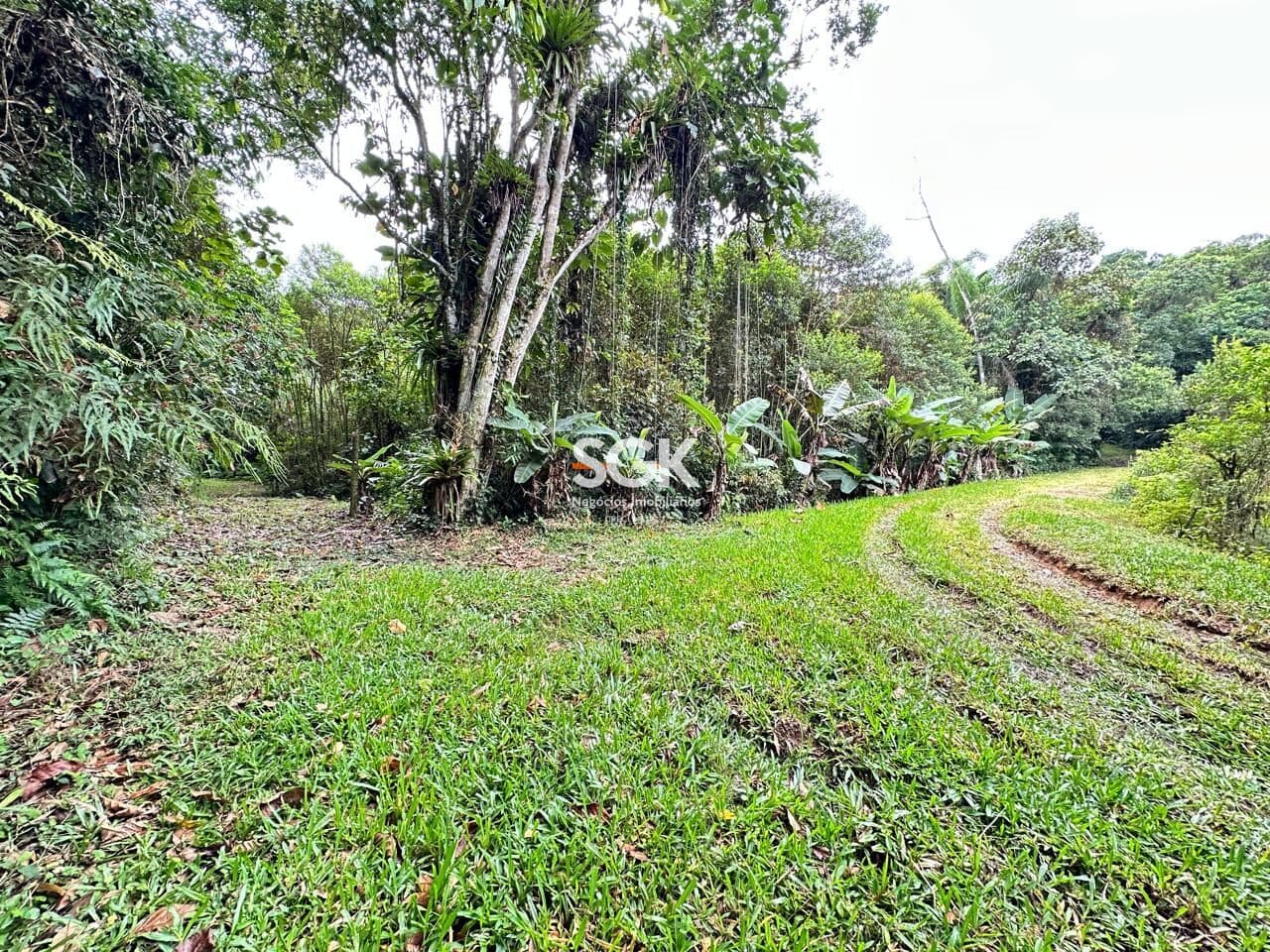 Sítio à Venda na Estrada Dedo Grosso – 9,2 Hectares com Lagos e Plantio de Pupunha | Vila Nova – Joinville