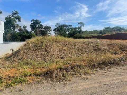 Lote/Terreno em Timbó - Araponguinhas