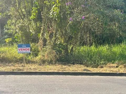 Lote/Terreno em Timbó - Imigrantes