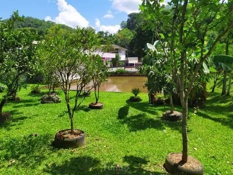 Fazenda/Sítios/Chácaras em Timbó - Pomeranos