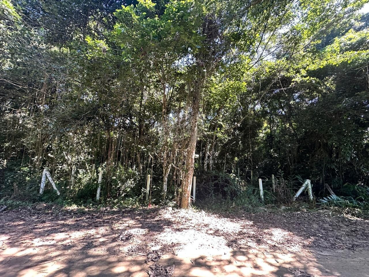 Oportunidade Terreno na Praia de Mariscal - Bombinhas, SC