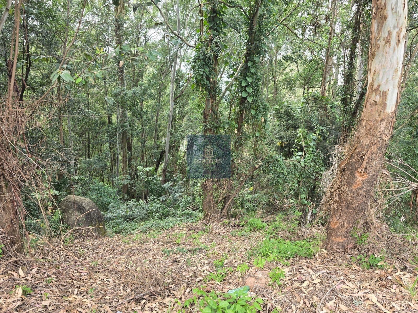 Terreno em Condomínio em Tamboré, Barueri/SP