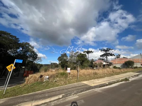 Lote/Terreno em Quatro Barras - Palmitalzinho