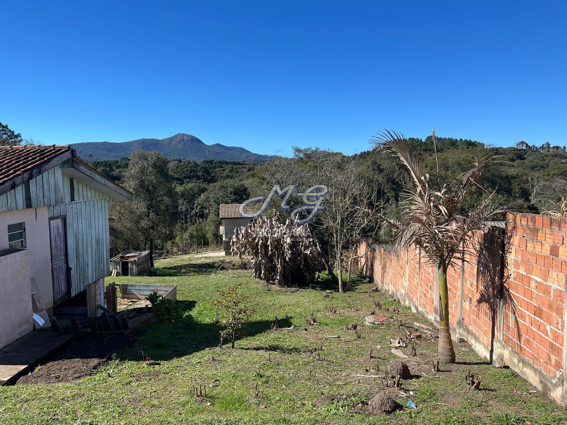 Lote/Terreno em Quatro Barras - Jardim Pinheiros