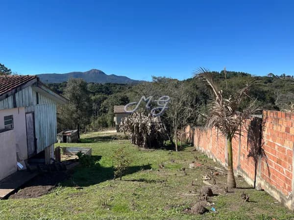 Lote/Terreno em Quatro Barras - Jardim Pinheiros