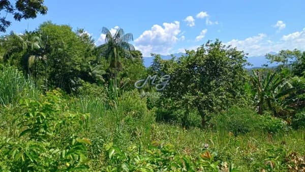 Lote/Terreno em Morretes - Centro