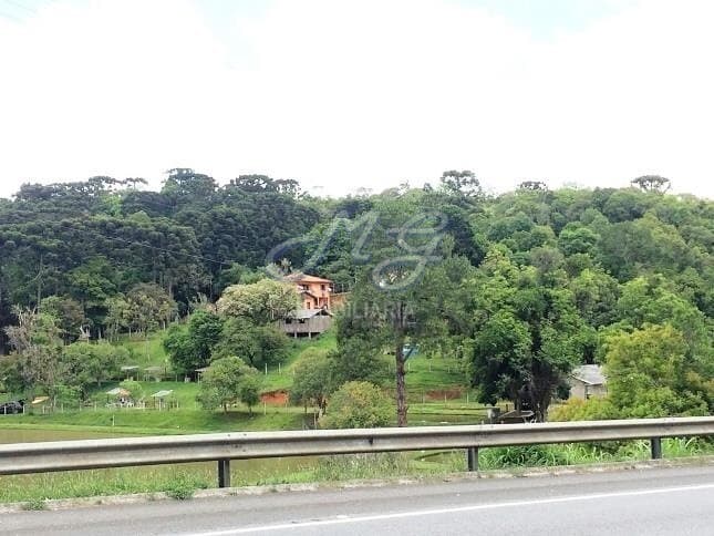 Chácara à venda no bairro Palmitalzinho em Quatro Barras/PR
