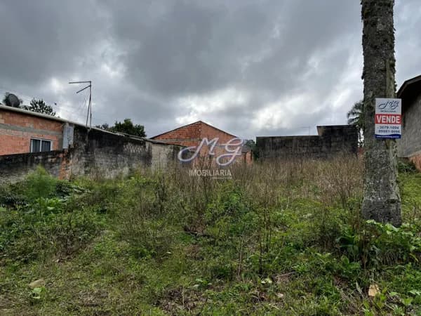 Lote/Terreno em Campina Grande do Sul - Jardim Nesita