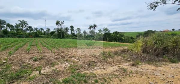 Sítio à venda, 20000 m² por R$ 340.000,00 - Pires de Baixo - Limeira/SP