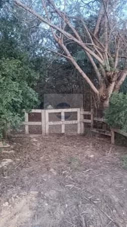 Sítio à venda, 56090 m² por R$ 530.000 - Pires de Baixo - Limeira/SP