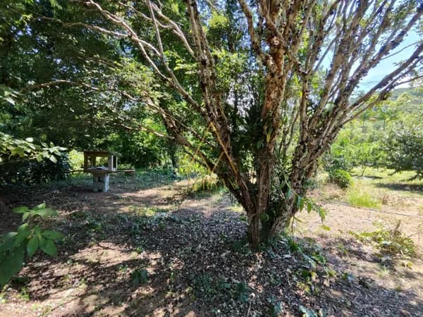 Terreno em Schroeder