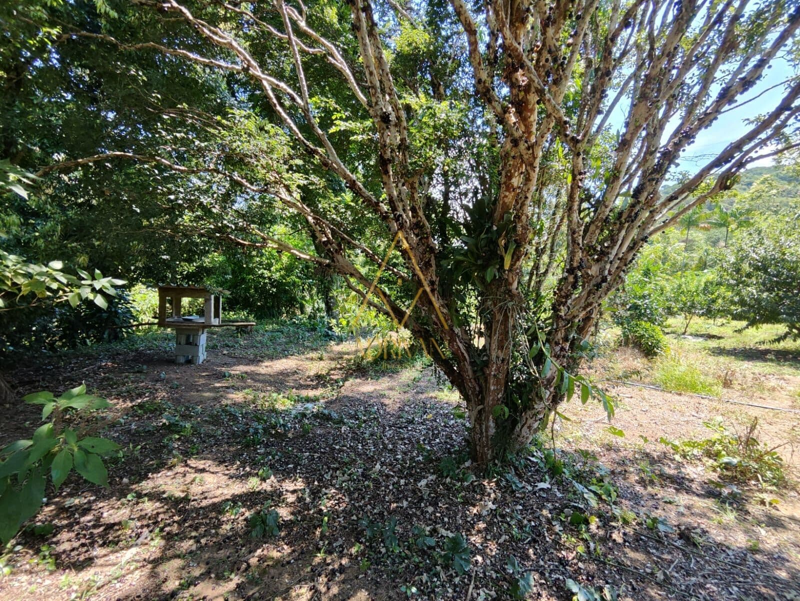 Terreno em Schroeder