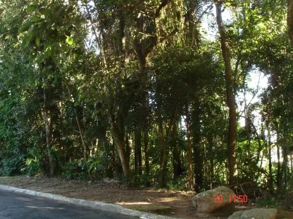 Terreno à venda, 521 m² por R$ 250.000,00 - São Fernando Residência - Barueri/SP