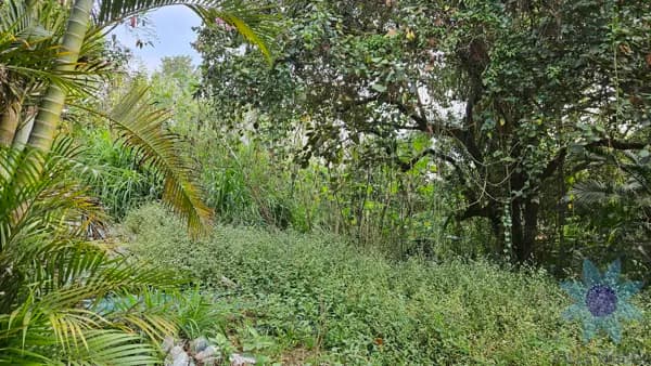 Lote/Terreno em Jandira - Nova Higienópolis