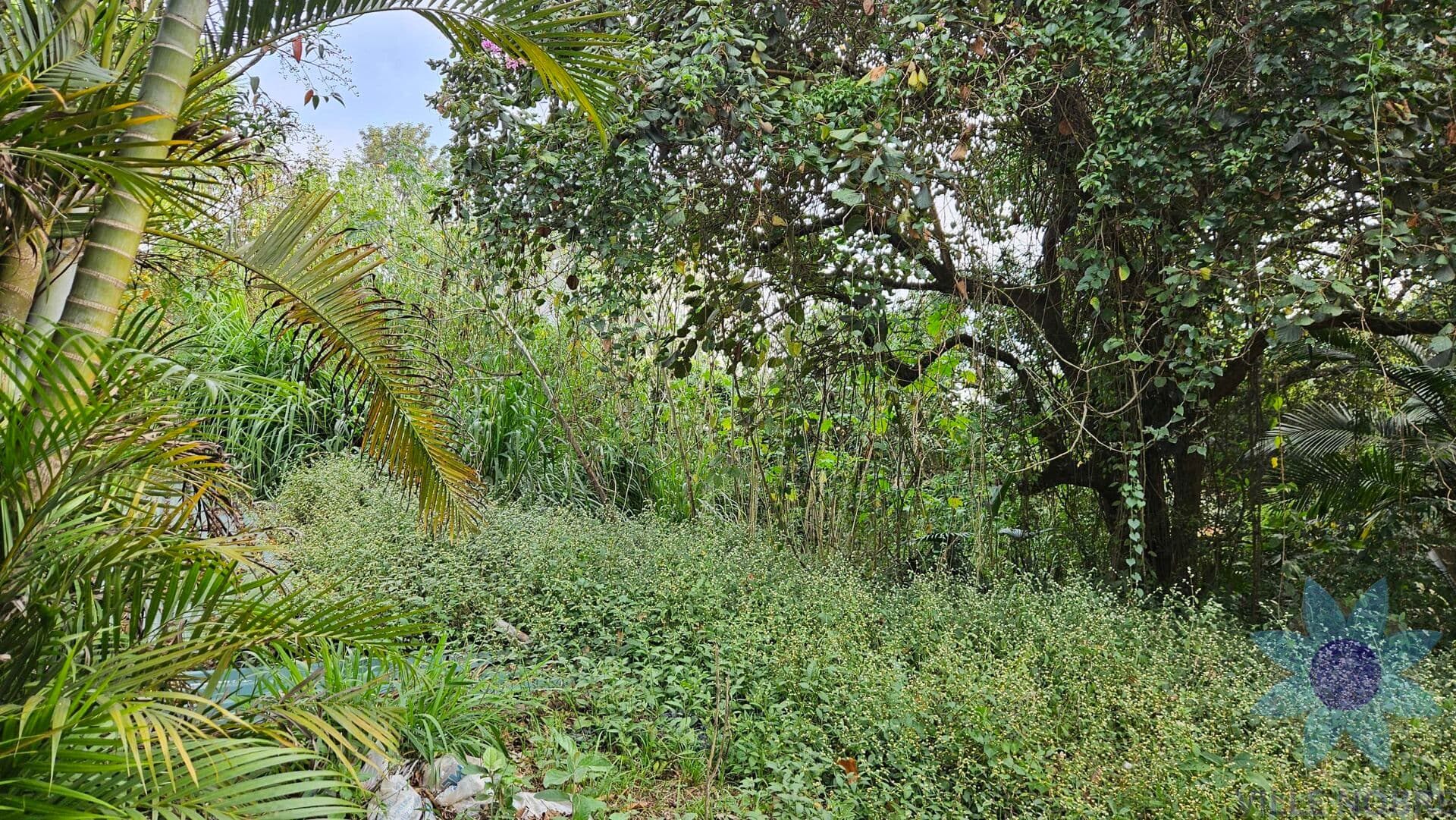 Lote/Terreno em Jandira - Nova Higienópolis