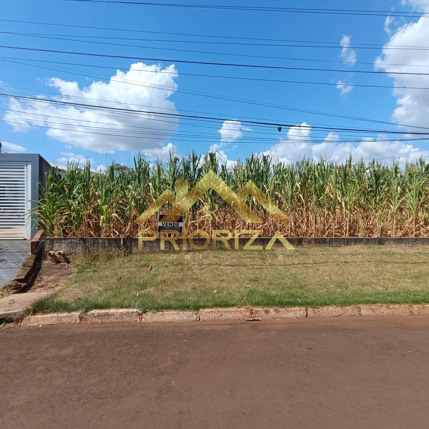 Lote/Terreno em Missal - Centro