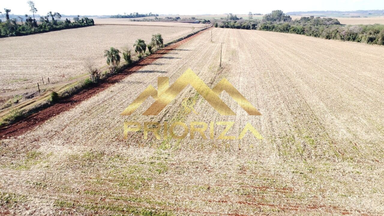 Fazenda/Sítios/Chácaras em Missal - Dom Armando