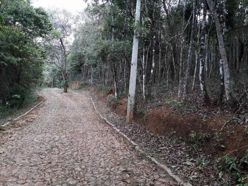 Condomínio Inteiro para Venda em Pasárgada Nova Lima-MG