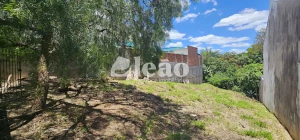 Terreno murado de 300m² no Jardim Alto da Colina, Valinhos/SP