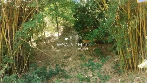 Terreno em meio à natureza