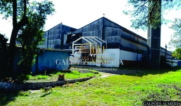 Galpão/Depósito/Armazém em São Paulo - Cangaíba