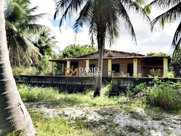 🌿 OPORTUNIDADE ÚNICA EM HORIZONTE/CE — SÍTIO PRODUTIVO COM 3 HECTARES 🌿