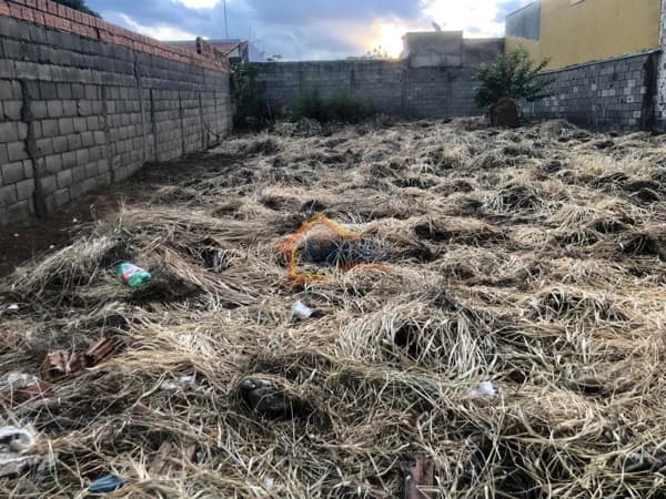 Lote/Terreno em Mogi Mirim - Jardim Flamboyant