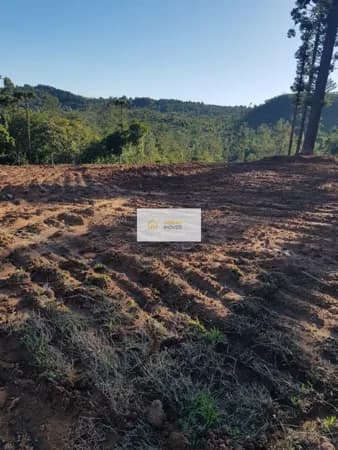 Fazenda/Sítios/Chácaras em Gravataí - Morungava