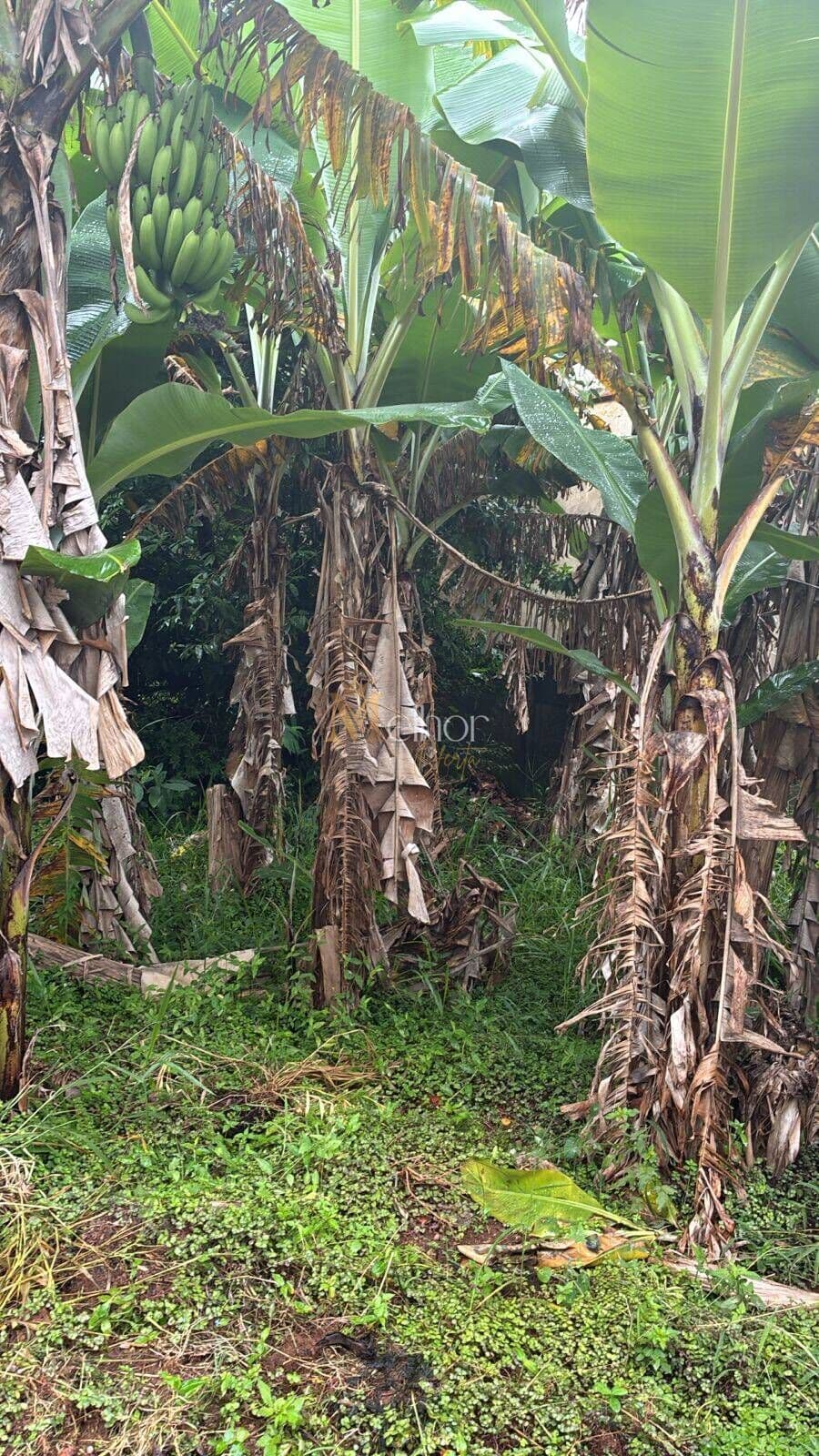 Terreno Exclusivo no Recanto Tranquilo – Palavra da Vida