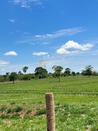 Fazenda/Sítios/Chácaras em Itarumã - Centro