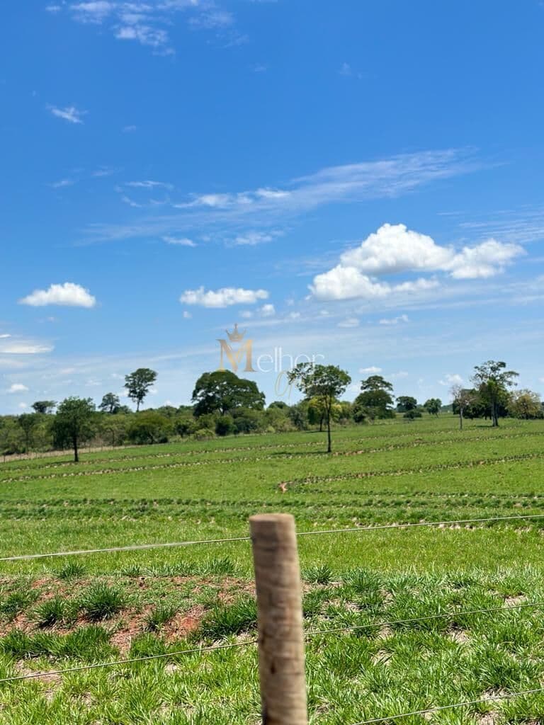 Fazenda/Sítios/Chácaras em Itarumã - Centro
