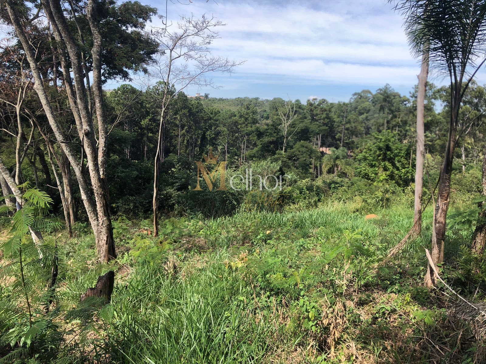 🏡 Terreno Amplo e Bem Localizado – Jardim das Palmeiras, Bom Jesus dos Perdões/SP (Lote Plano A)