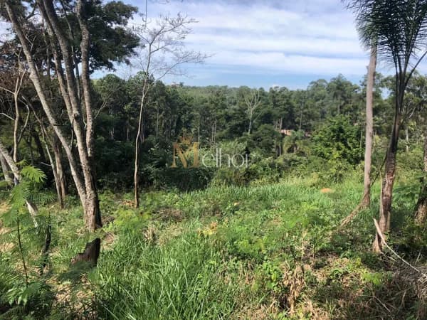 🏡 Terreno Amplo e Bem Localizado – Jardim das Palmeiras, Bom Jesus dos Perdões/SP (Lote Plano A)