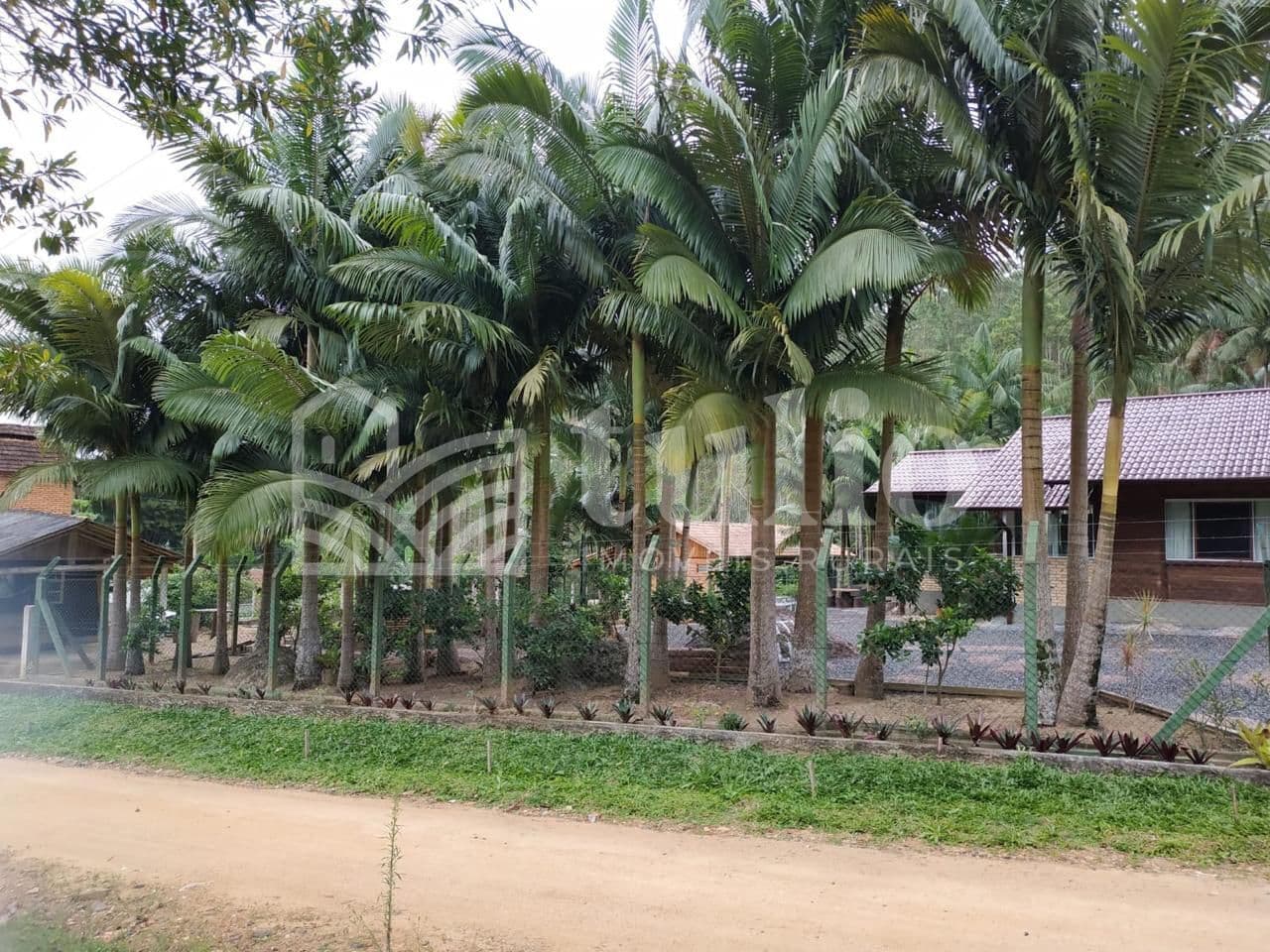 Lindo sítio com cachoeira em Tijucas bairro Oliveira