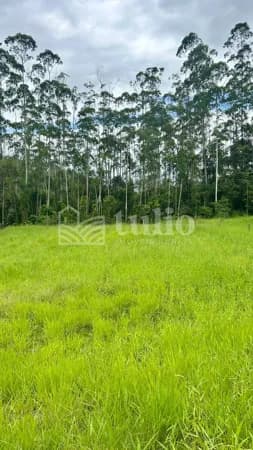 Terreno plano para sítio em Canelinha no bairro moura