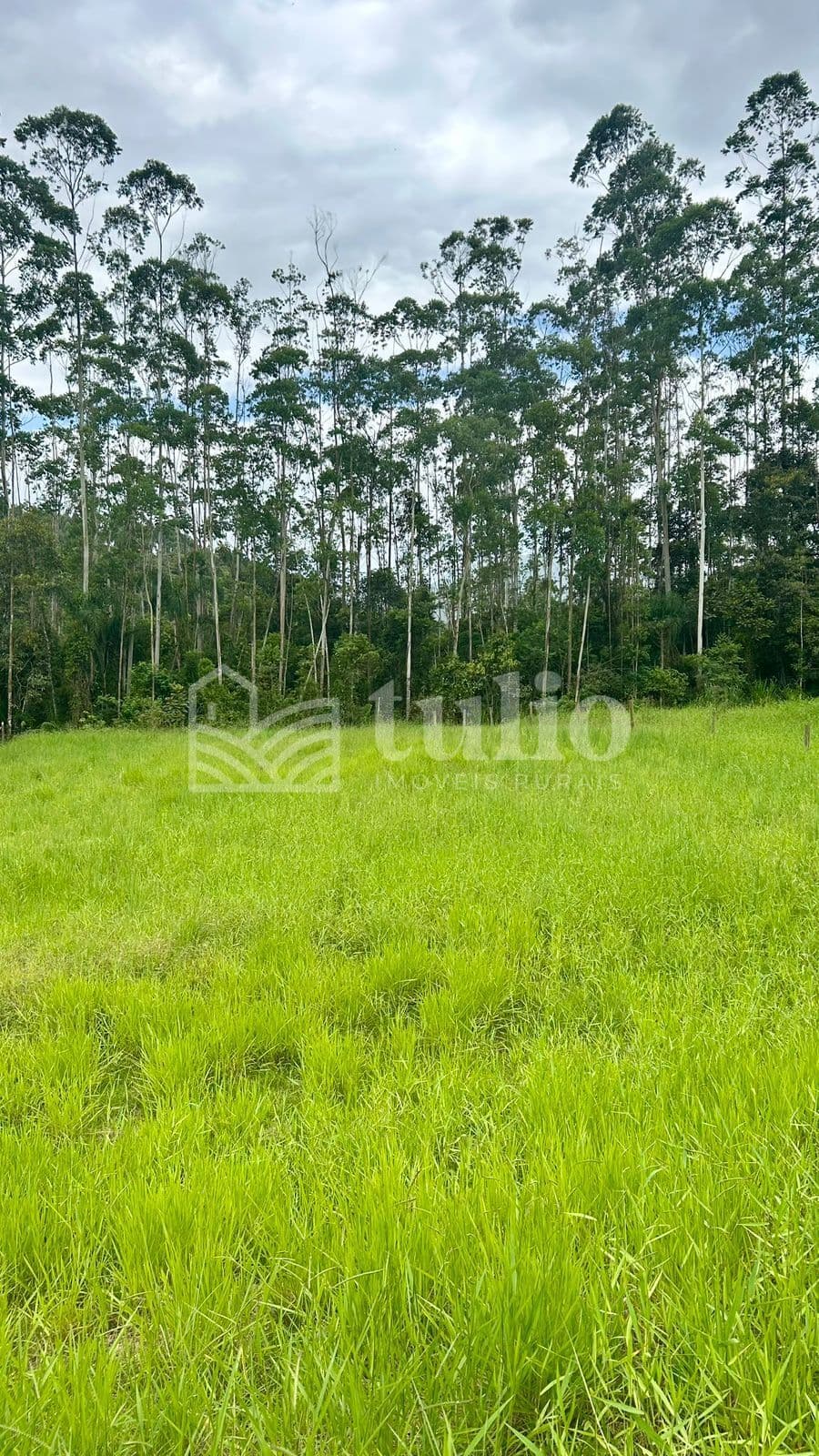 Terreno plano para sítio em Canelinha no bairro moura