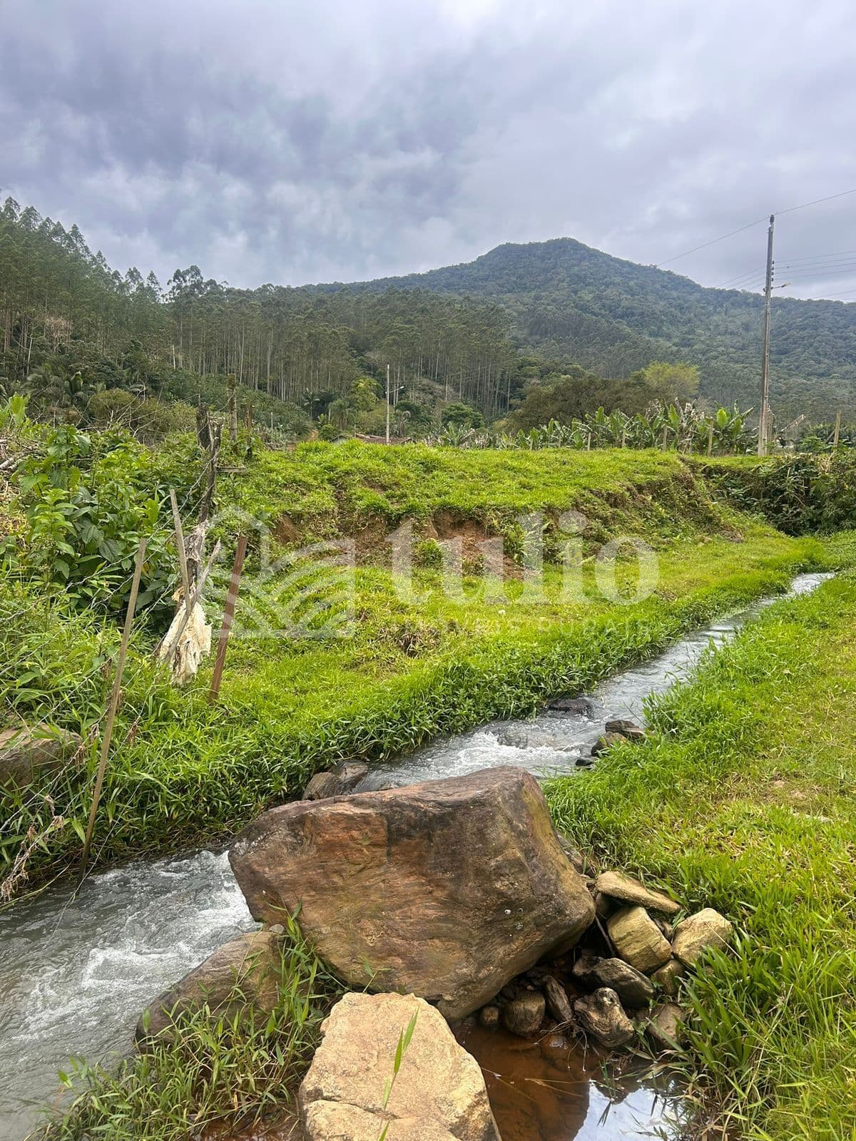 Terreno de sitío com água corrente em Canelinha