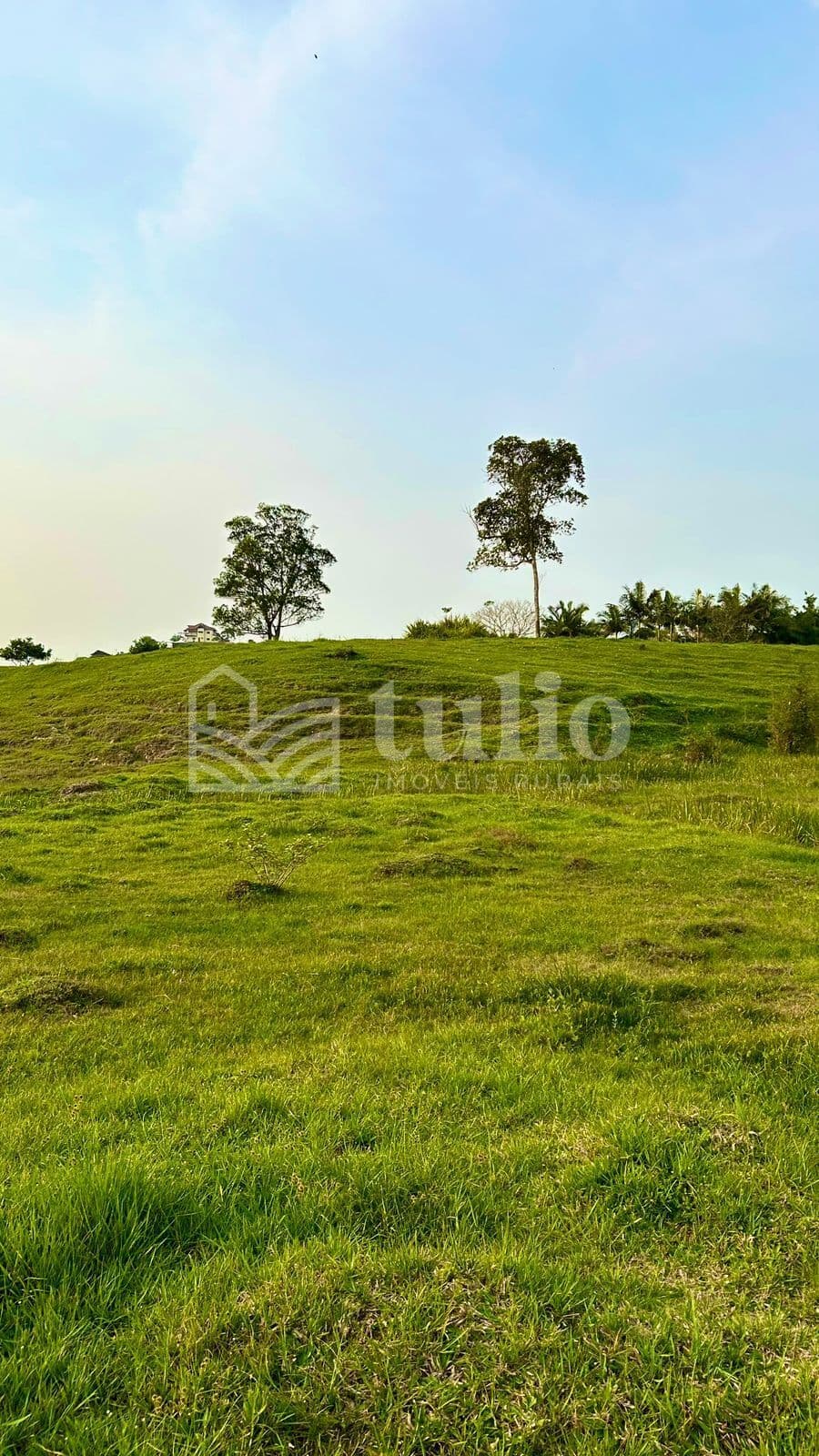 Terreno rural de 4.3 hectares em Tijucas/SC a 12km da BR-101