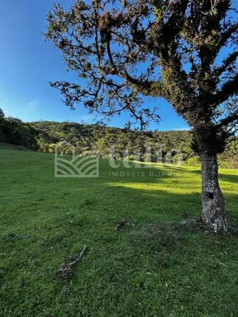 10 hectares em São João Batista a 10km do centro