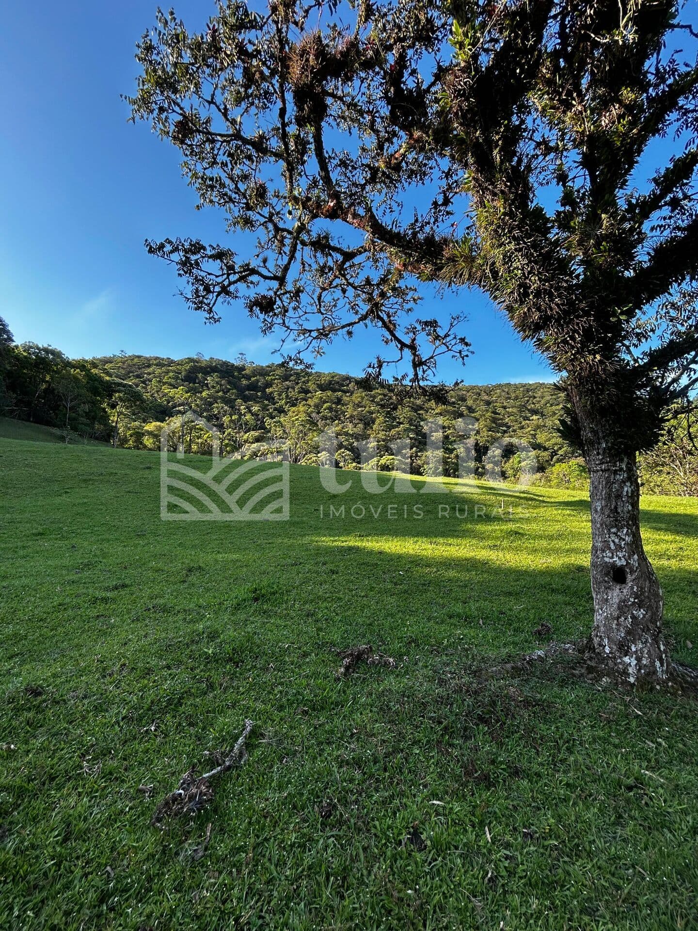 10 hectares em São João Batista a 10km do centro