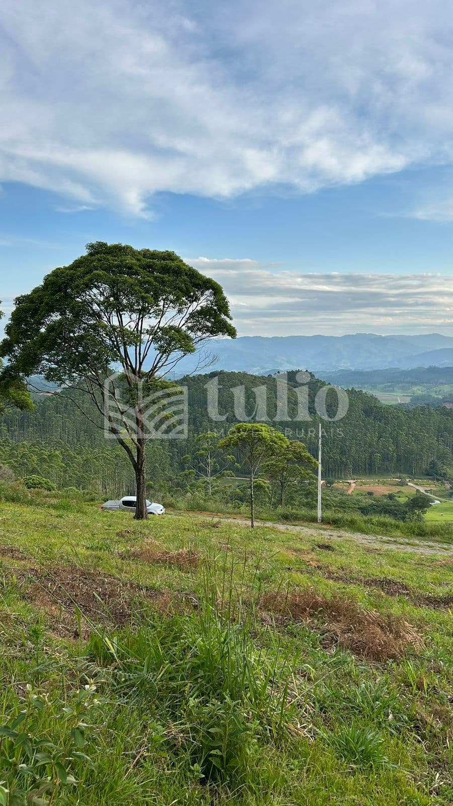 Terreno de sítio em condomínio a venda em Canelinha/SC - Moura