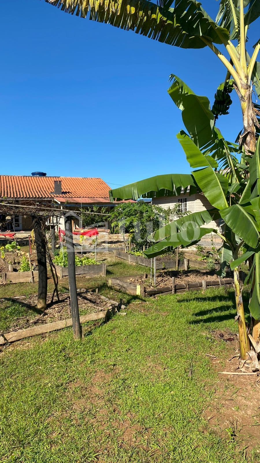 Sítio com riacho próximo ao centro de Canelinha/SC