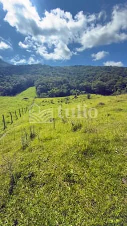 2 hectares em Tijucas bairro Timbé