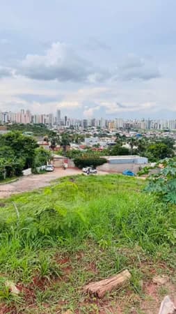 Vendo 04 Lotes em Arniqueiras, 250 mts, Aceita carro, vendemos juntos ou separados