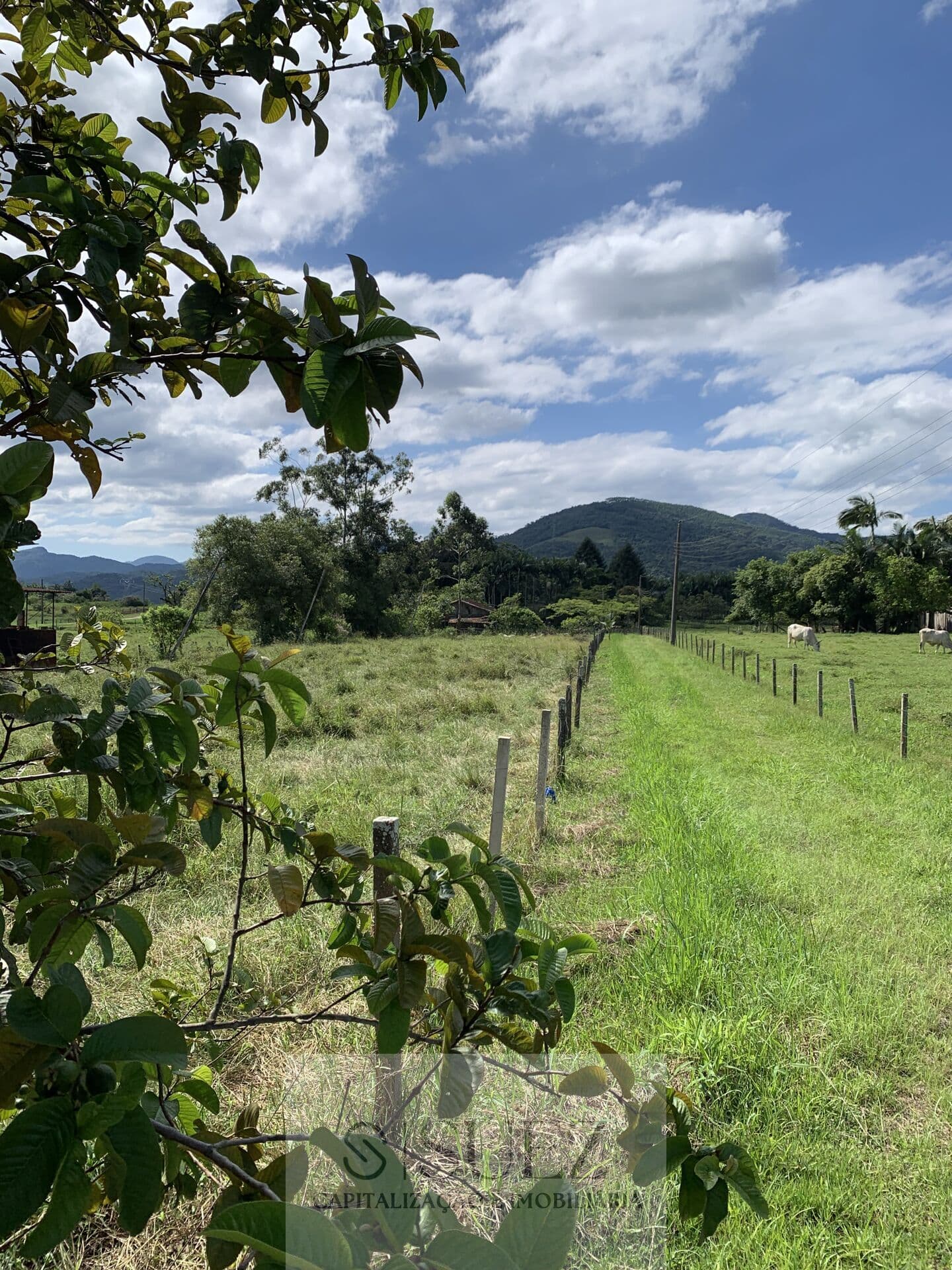 Sítio com lagoa e 32.000m2 de área